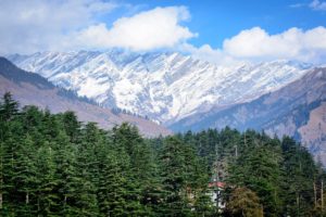 Shimla to Manali Taxi Servic